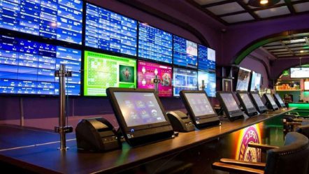 О деятельности букмекерских контор